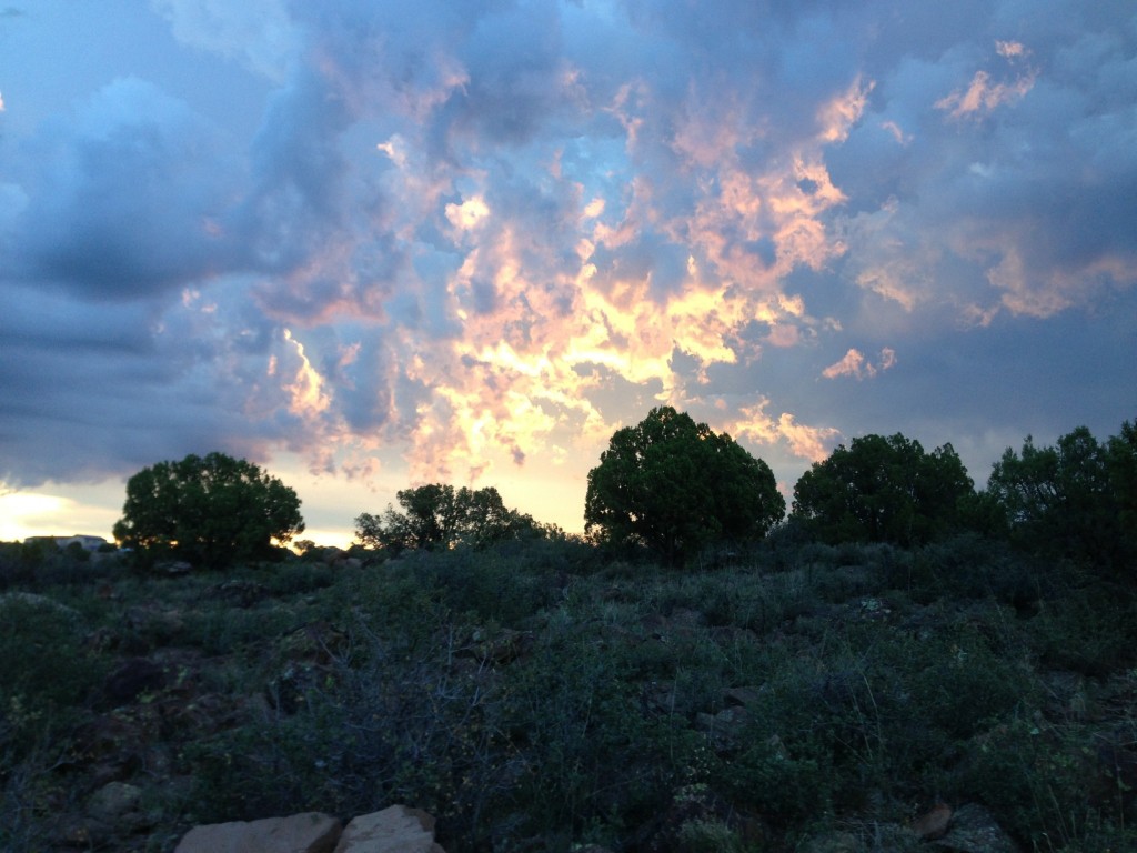 Explore Kingman and Hackberry, Arizona's large acreage communities, set against cloudy skies and abundant trees